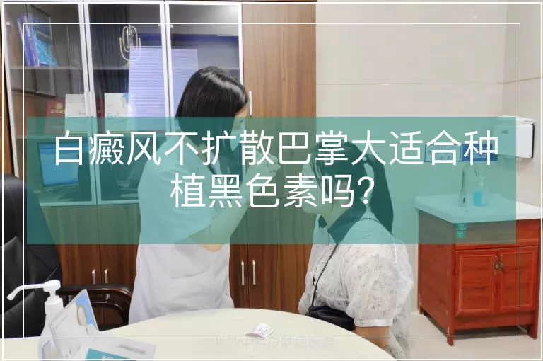 白癜风不扩散巴掌大适合种植黑色素吗？