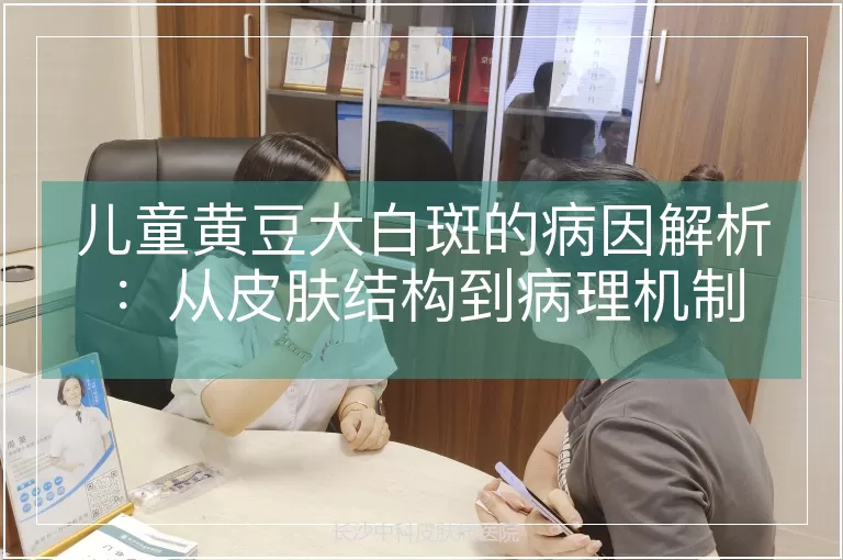 儿童黄豆大白斑的病因解析：从皮肤结构到病理机制